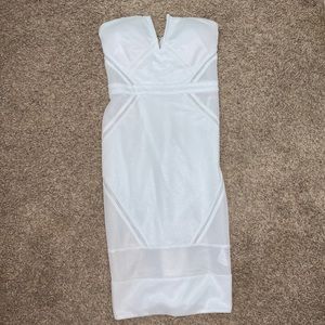 Mesh Fitted Midi Dress